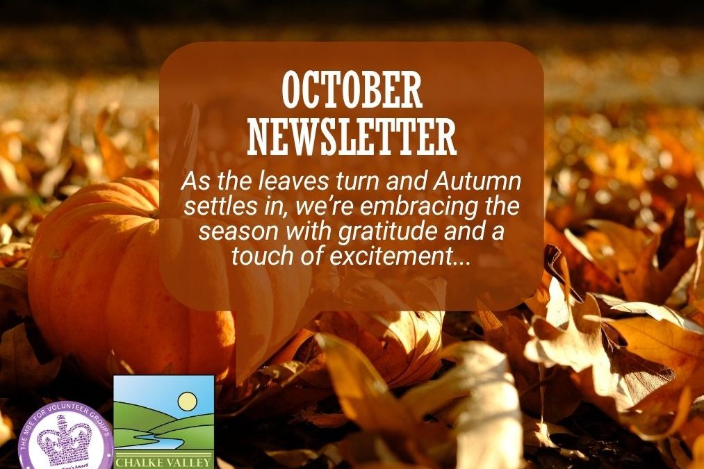 October Newsletter