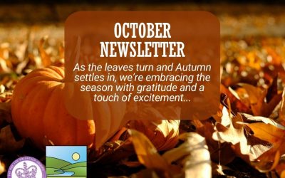 October Newsletter